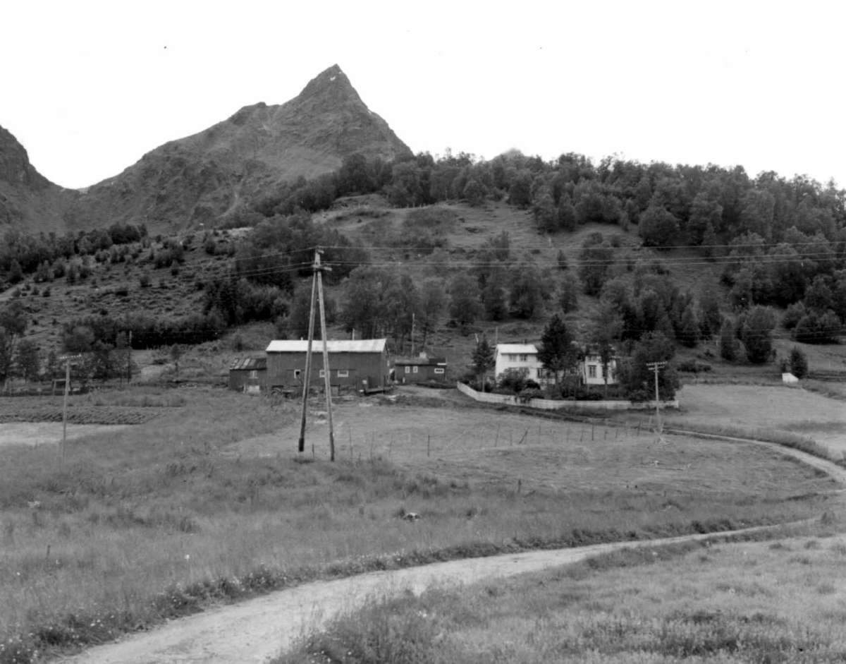 Hamsund, Hamarøy - Nordland. Knut Hamsuns barndomshjem.
Fot. prof. Asbjørn Nesheim 1964.