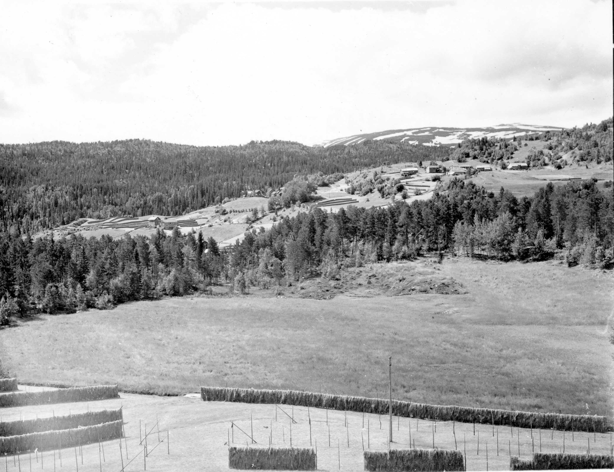 Landskap Og Bebyggelse Skutle Og Oppheim I Voss Hesjer Forann I