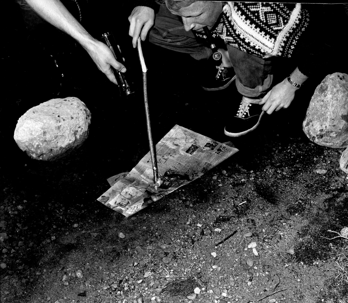 Kreps blir studert med lommelykt. Mann med pipe og strikkegenser i Mariusmønster. Fra Harestuvatnet.
Fotografert 1957.