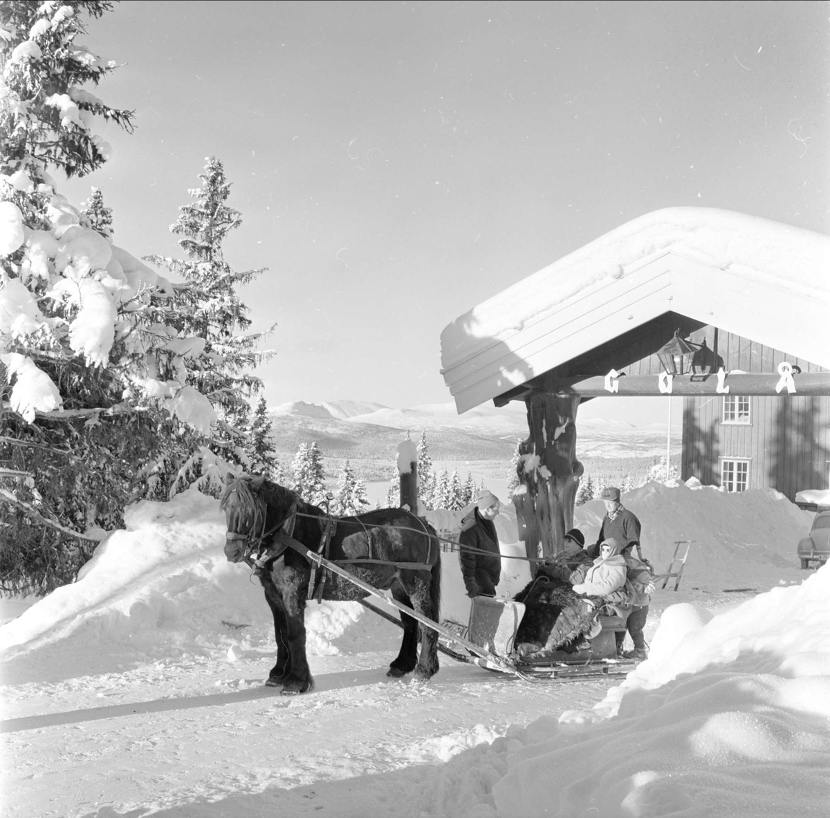 Golå Høyfjellshotell, hest og slede ved inngangsportal,  turister i fjellet, Sør-Fron 23.08.1961