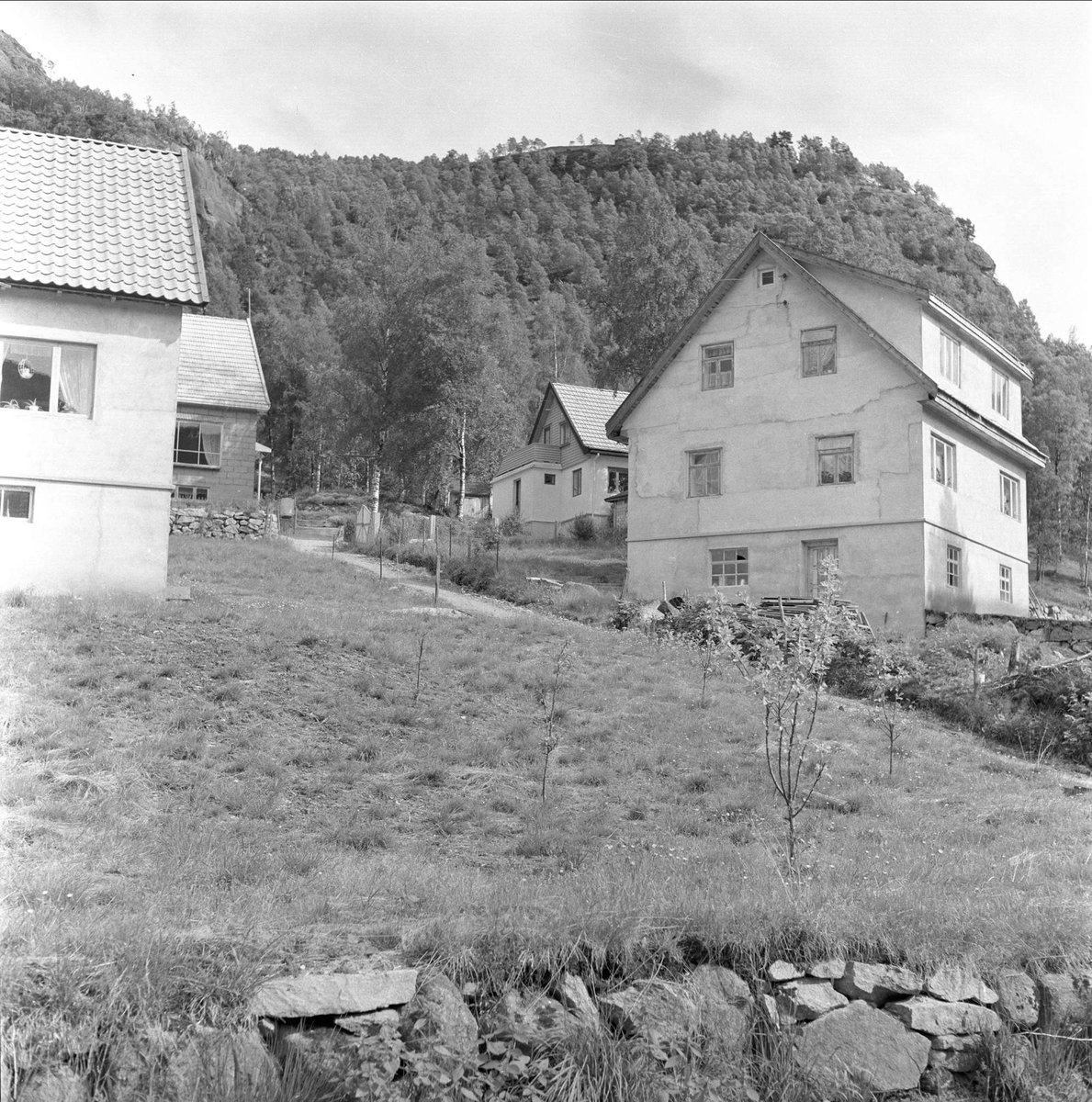 Kvinesdal, Vest-Agder, august 1958. Boliger.