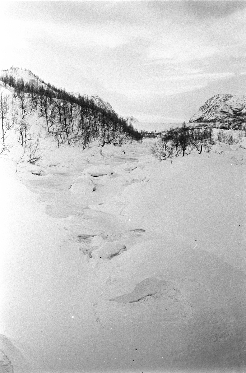 Bitdalen, Vinje, Telemark, desember 1970. Fjellandskap.