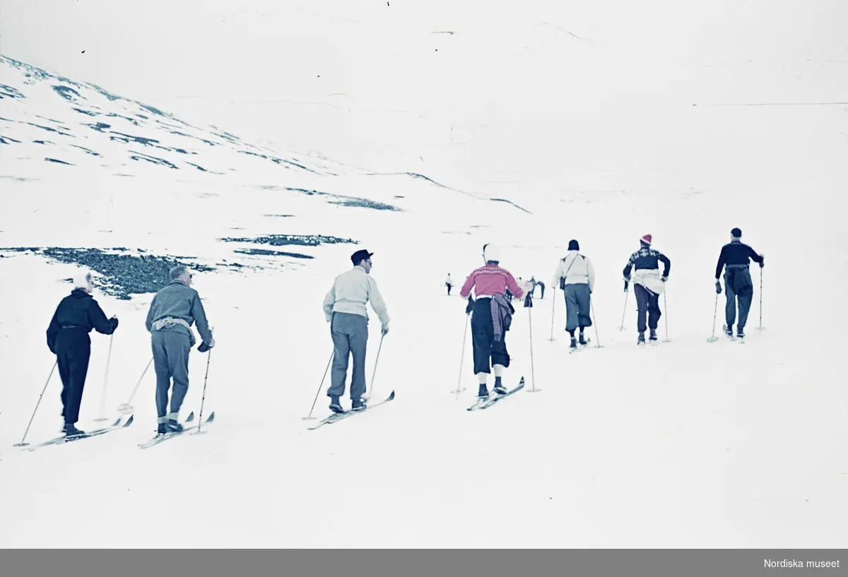 Skidåkning. En grupp människor på skidor i fjällen.