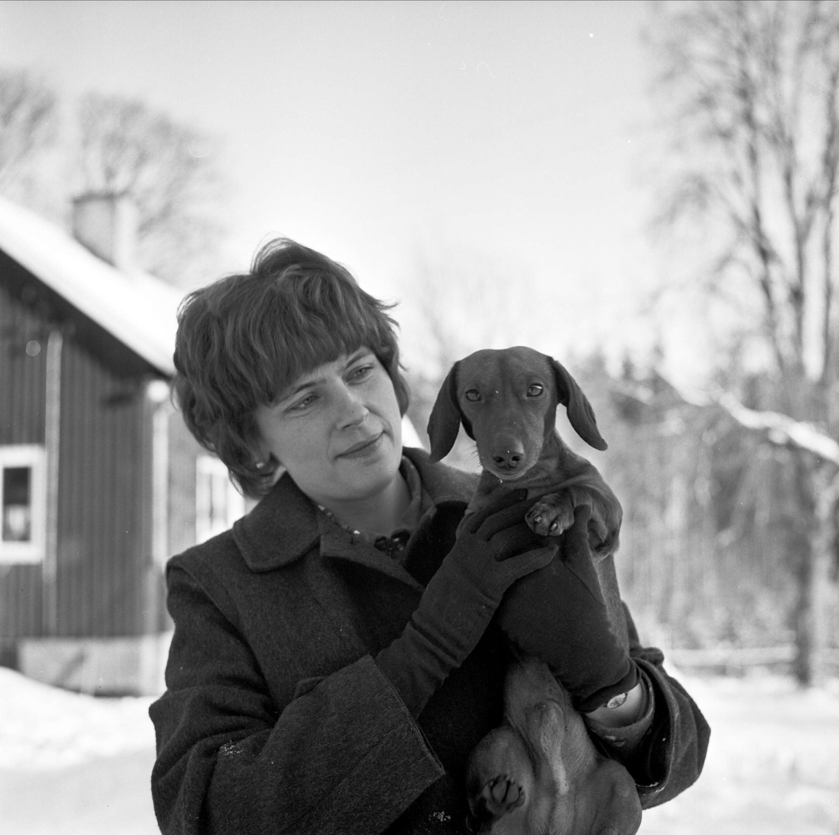 Taxen Lucas i Tobo, Tegelsmora socken, Uppland november 1973