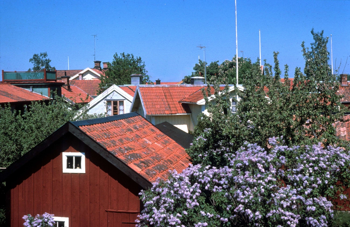 Bebyggelse i Öregrund, Uppland 1976