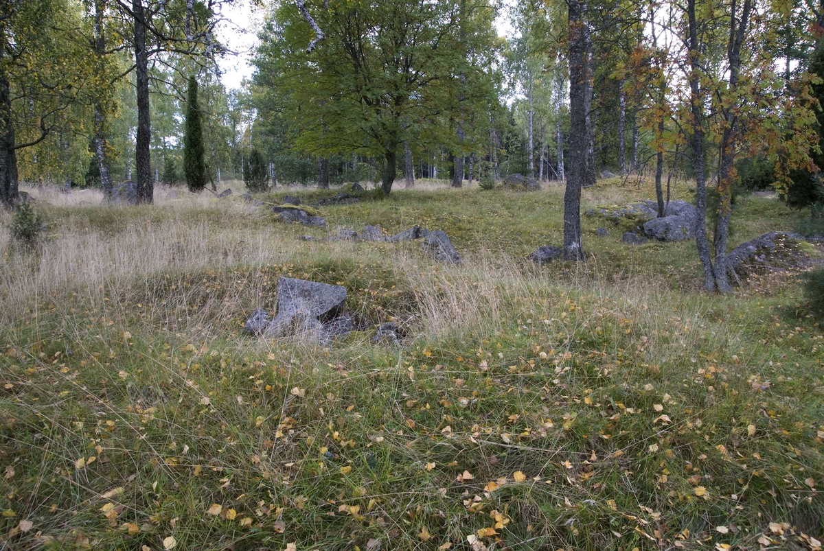 Gravfält i Stora Ramsjö, Vittinge socken, Heby kommun, Uppland