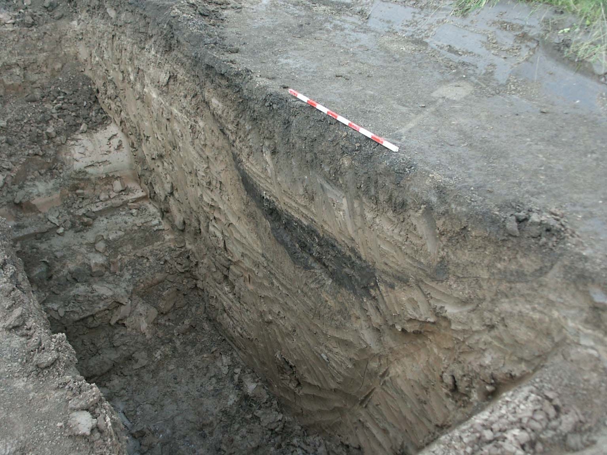 Arkeologisk undersökning, Brillinge, Vaksala socken, Uppland 2006