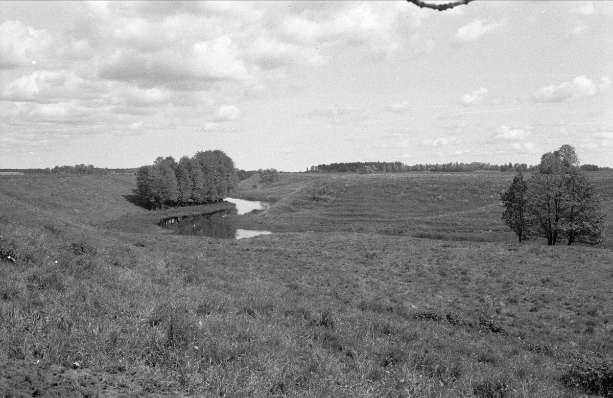 Landskapsvy, Gesvad, Bälinge socken, Uppland 1983