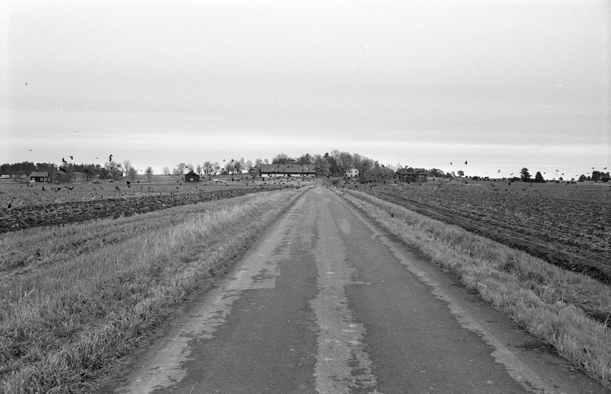 Vy från sydväst över Säby gård, Säby 7:1, Säby, Danmarks socken, Uppland 1978