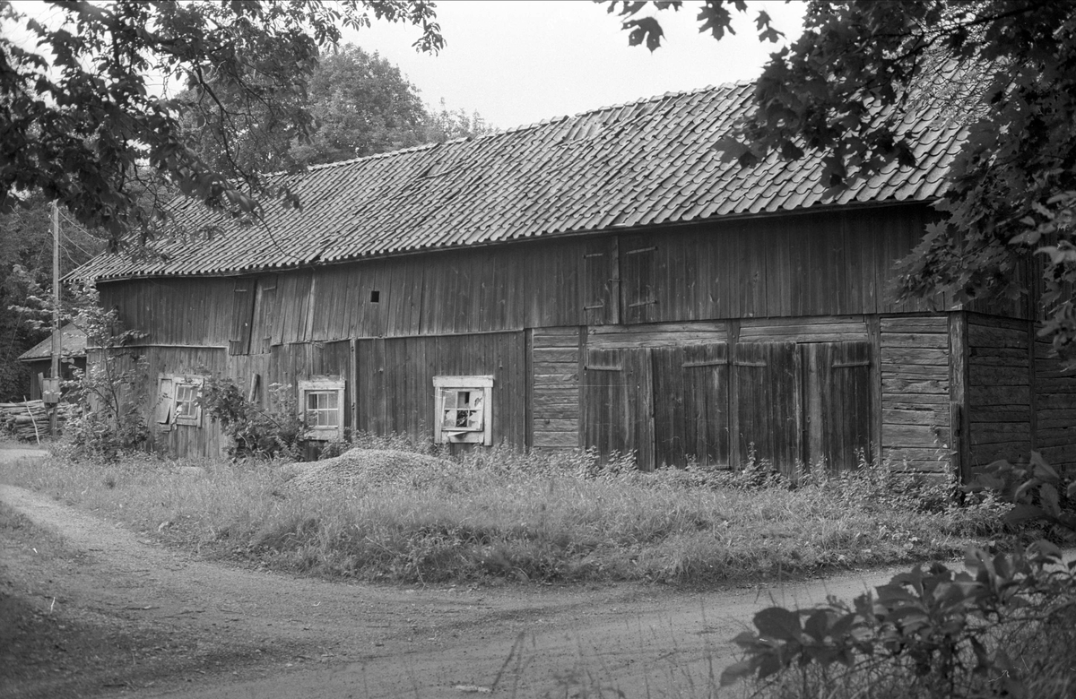 Ladugård och magasin, Locksta 1:7, Locksta, Funbo socken, Uppland 1982 