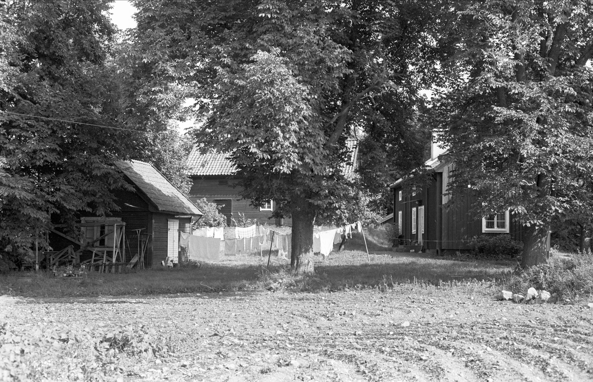 Brygghus, magasin och bostadshus, Kallesta 3:1, Rasbo socken, Uppland 1982