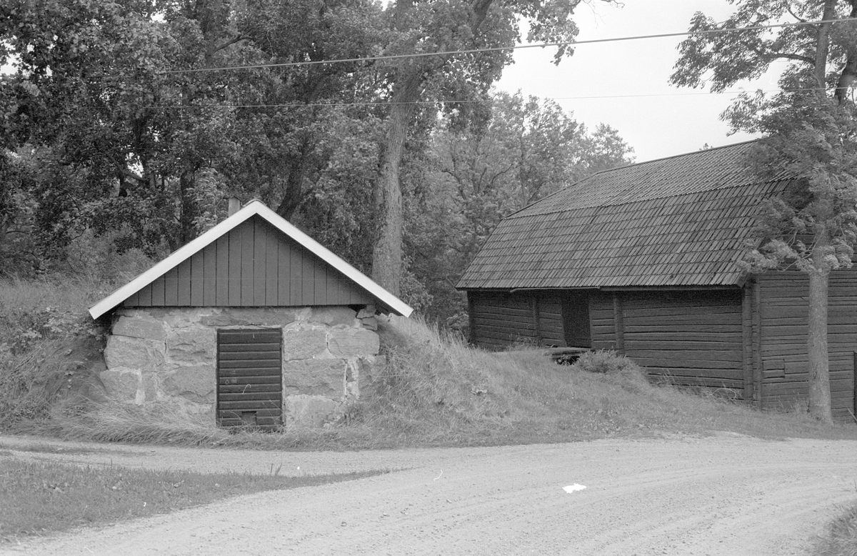 Källare, Marielunds gård, Marielund, Funbo socken, Uppland 1982