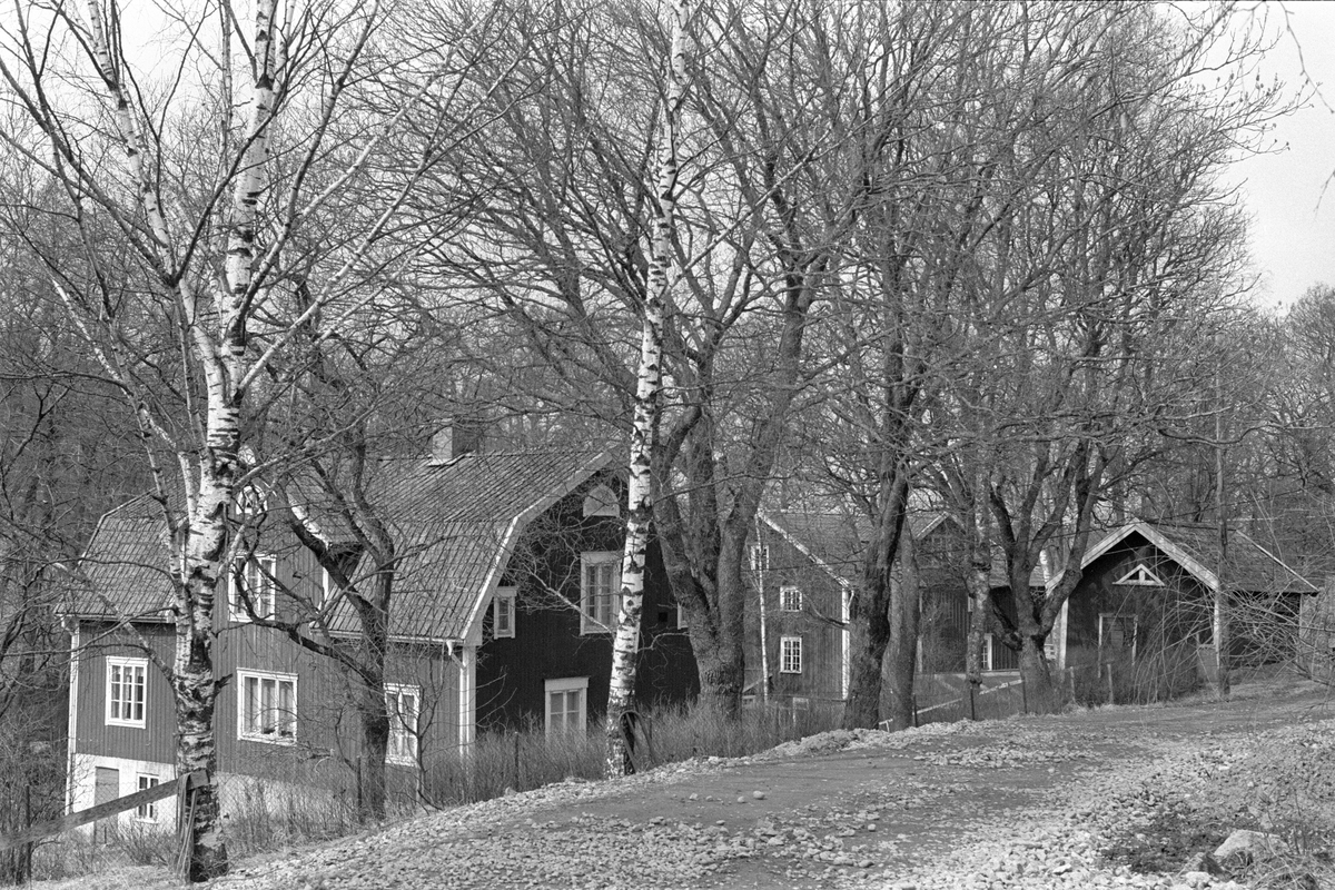 Bostadshus och källarbod, Focksta kvarn, Hagby-Focksta 1:5, Hagby socken, Uppland 1986