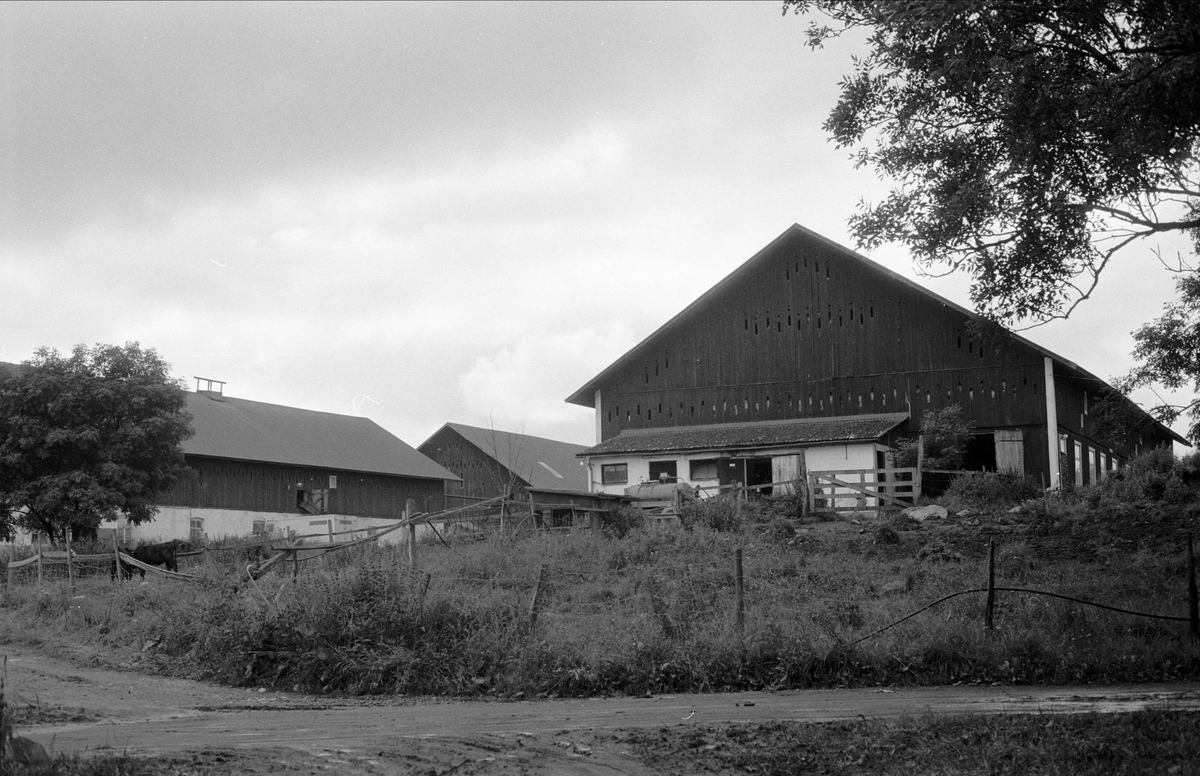 Ladugård och stall, Rungarns säteri, Bladåkers socken, Uppland 1987