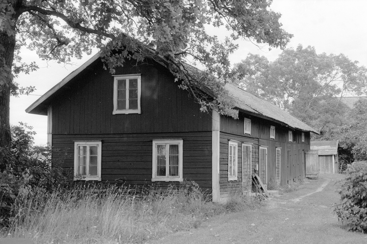Brygghus, Tynegården, Knutby socken, Uppland 1987