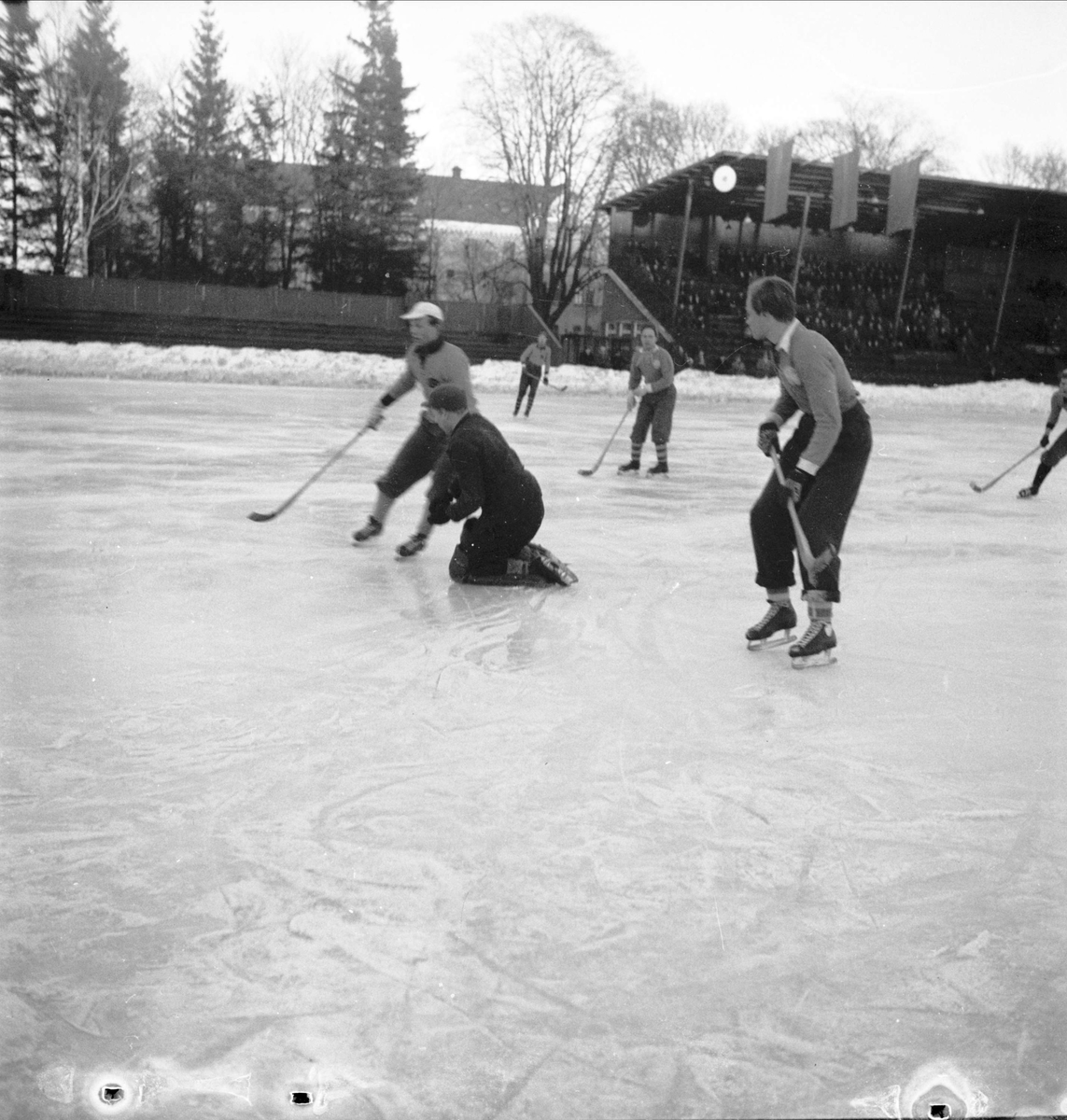 Bandy - Uppsala Högre Allmänna Läroverk (UHAL) - Norra Latin, Studenternas Idrottsplats, Uppsala 1951