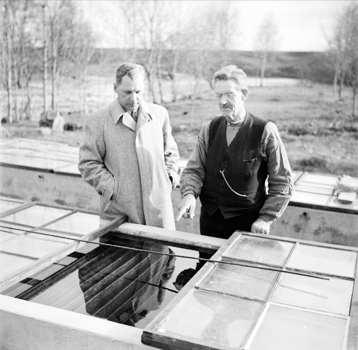 Fiskodling vid Ulva kvarn, Bälinge socken, Uppland 1948