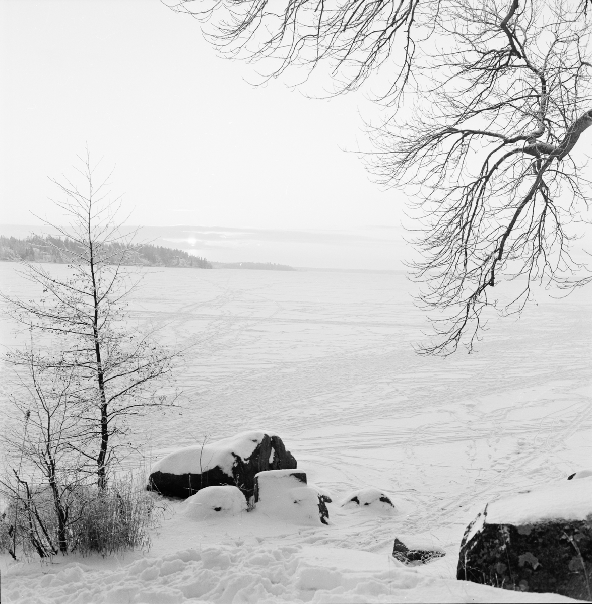 "Vintersportsöndag", Uppsala januari 1965