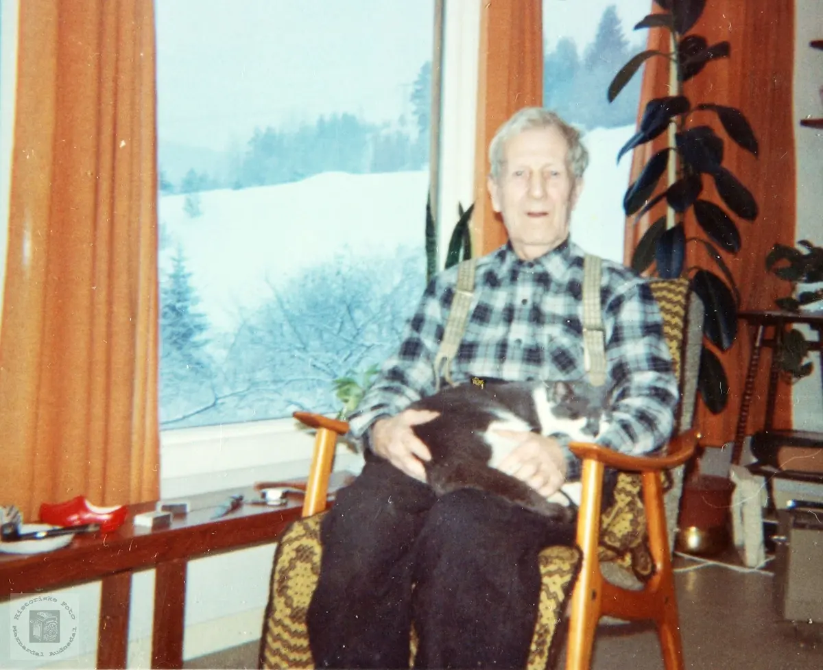 Bestefar med pus i godstolen på Smedsland i Grindheim.
