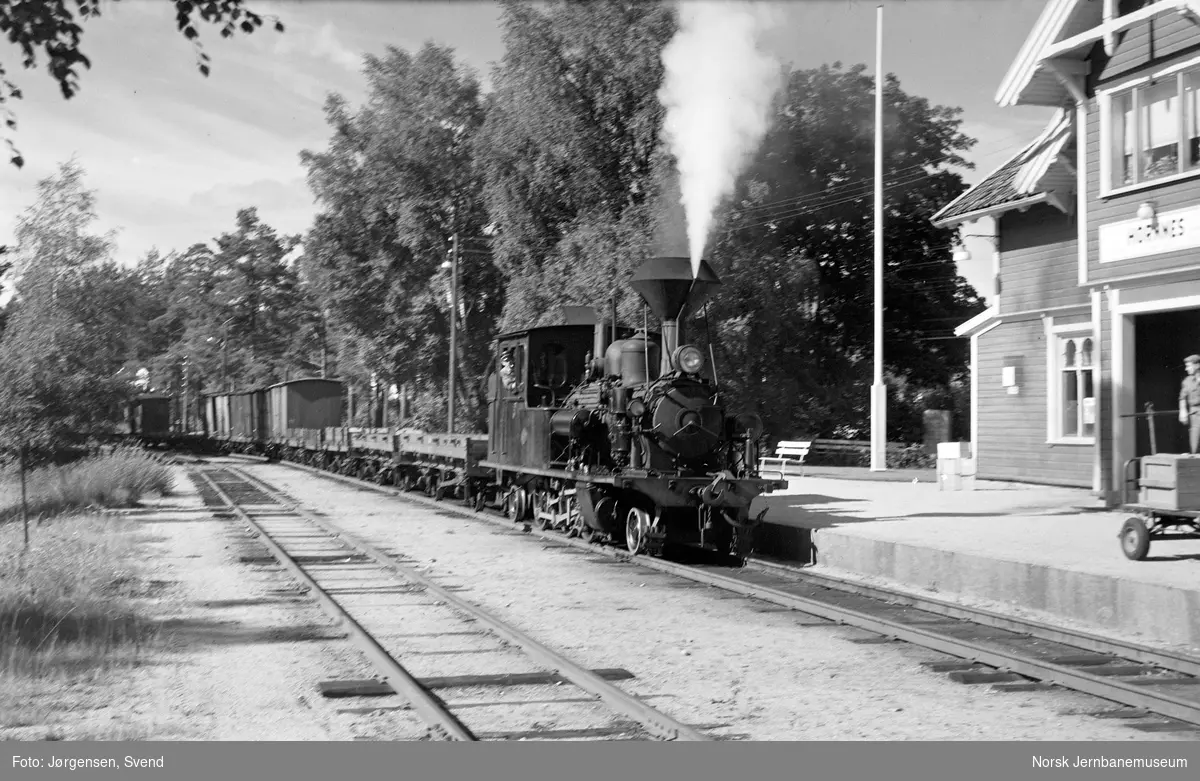 Damplokomotiv nr. 5 med godstog på Hornnes stasjon
