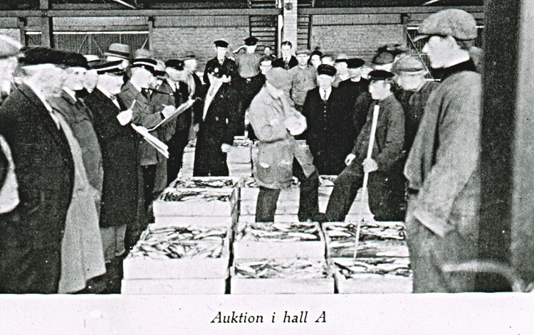 Text på skioptikonplåten: "Auktion i hall A."