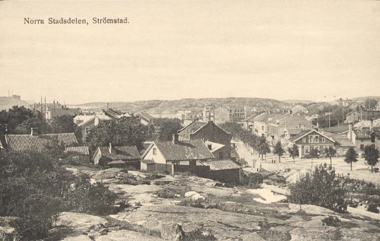 Tryckt text på kortet: "Norra Stadsdelen, Strömstad." 
"Förlag: Frida Dahlgren, Garn- o Kortvaruaffär."