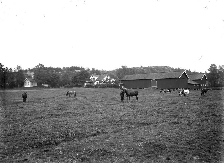 Enligt fotografens noteringar: "Omkring år 1912? Kyrkmarken. Scotting. Håby socken."