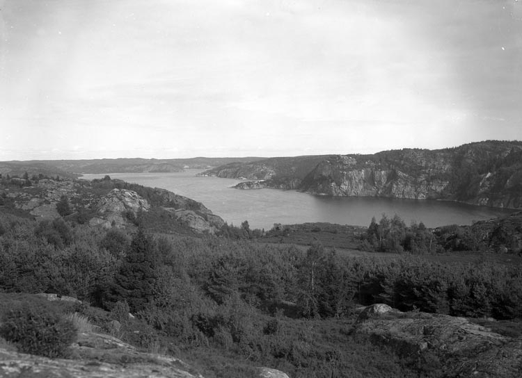 Text som medföljde bilden: "1938. 33. Gullmarsfjorden med hamnen från Gårviks höga berg."