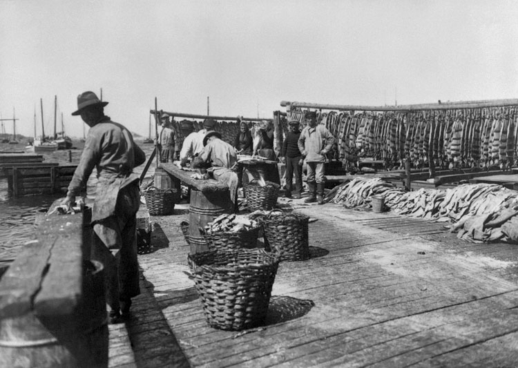 Långaberedning i Skärhamn juli 1924