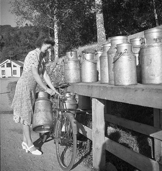 Kvinna som hämtar två mjölkflaskor som återkommit efter leverans av mjölk till ortens mejeri. Hon verkar binda fast flaskorna på sin cykel och transportera hem dem med hjälp av den.