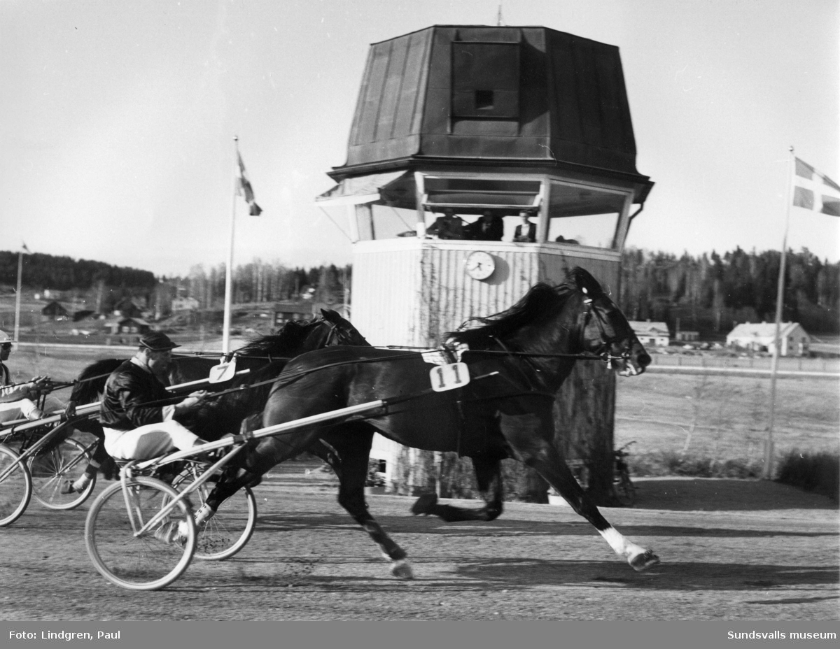 Rappson och Sören Nordin vinner andra heatet i Bergsåkers Stora Heatlopp 6 maj 1956 och sedan också skiljeheatet mot Elsa Bulwark.