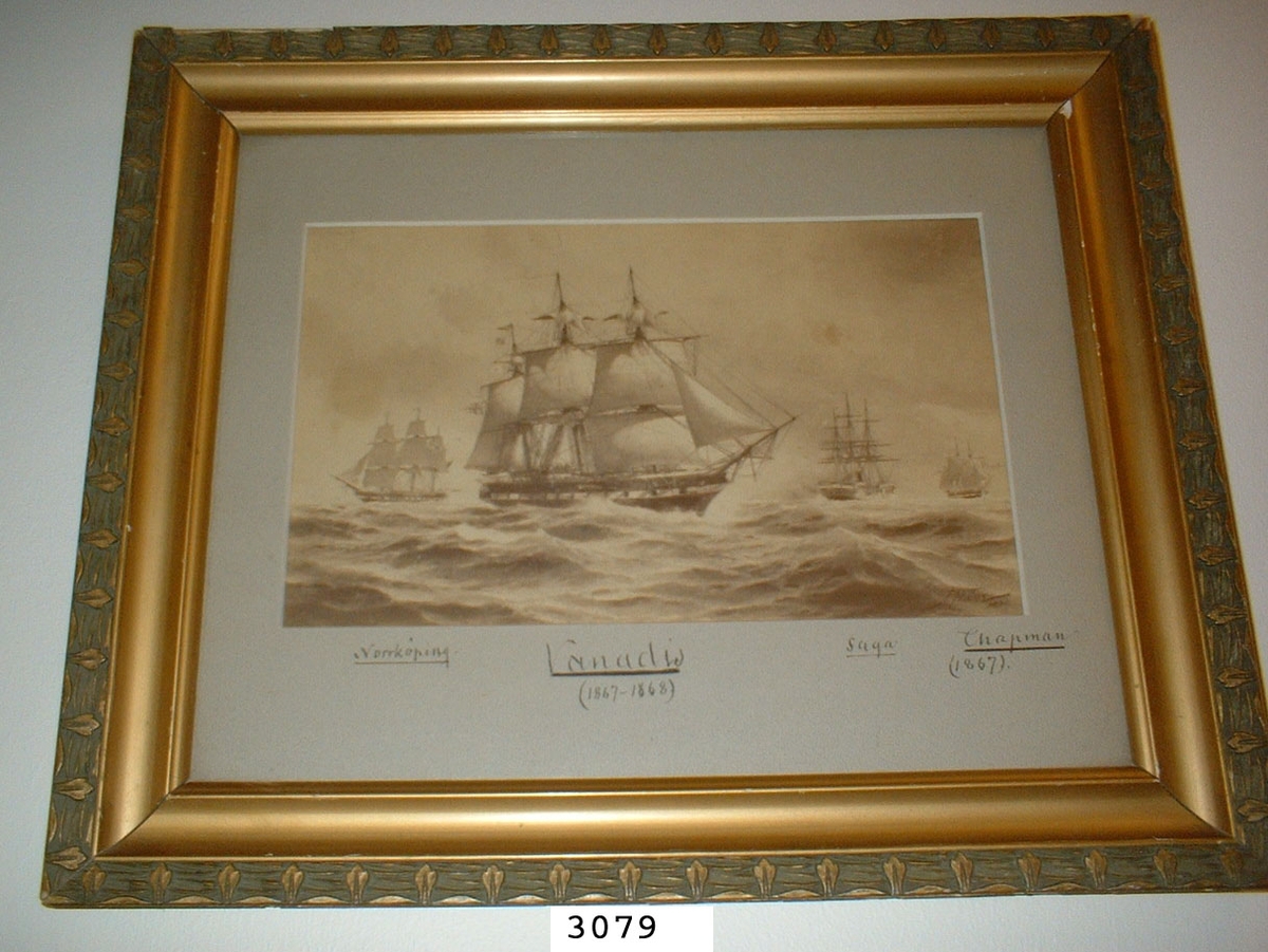 Fotografi i glas och ram av en målning av amiral Hägg över en del av svenska flottans fartyg till segels (Norrköping, Wanadis, Saga och af Chapman).