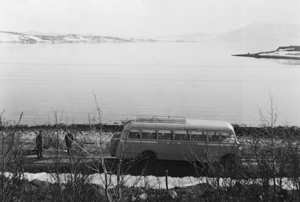 Buss i rute til Kongsvik.