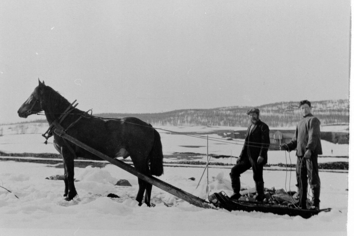 Bertel Karlsen og sønnen Ottar kjører stein med en steinslede.