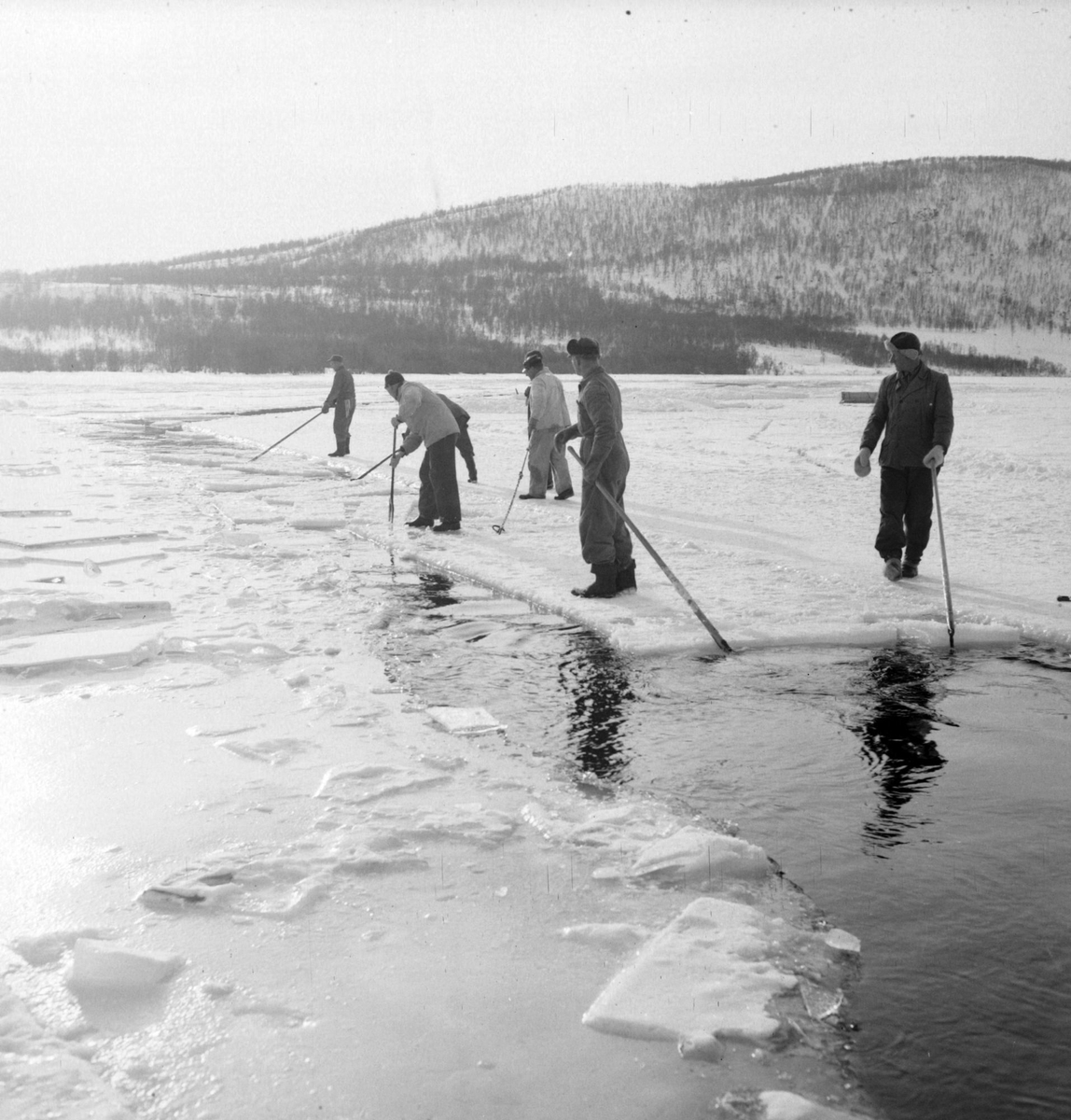 Isskjæring på Møkkelandsvannet, 1954. Isen skulle brukes hos Bertheus Nilsen i byen.