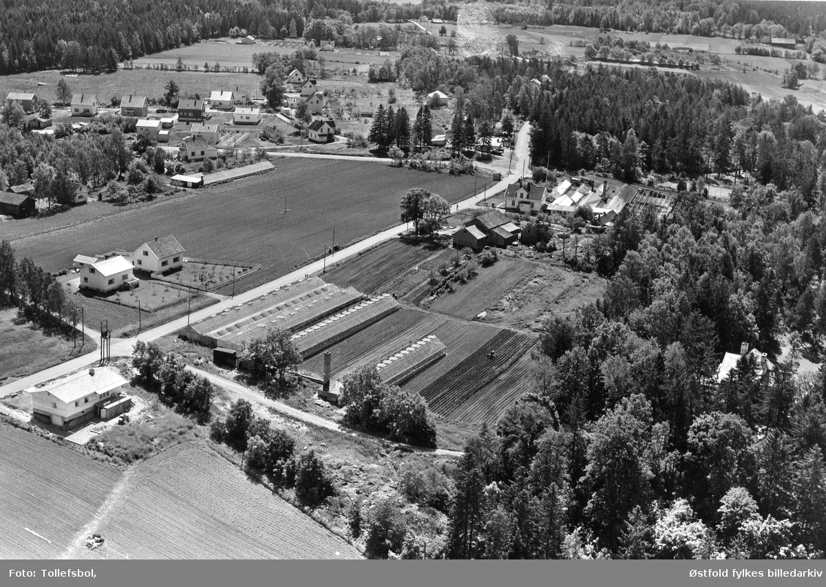 Dyhre gård og gartneri, skråfoto 1956.