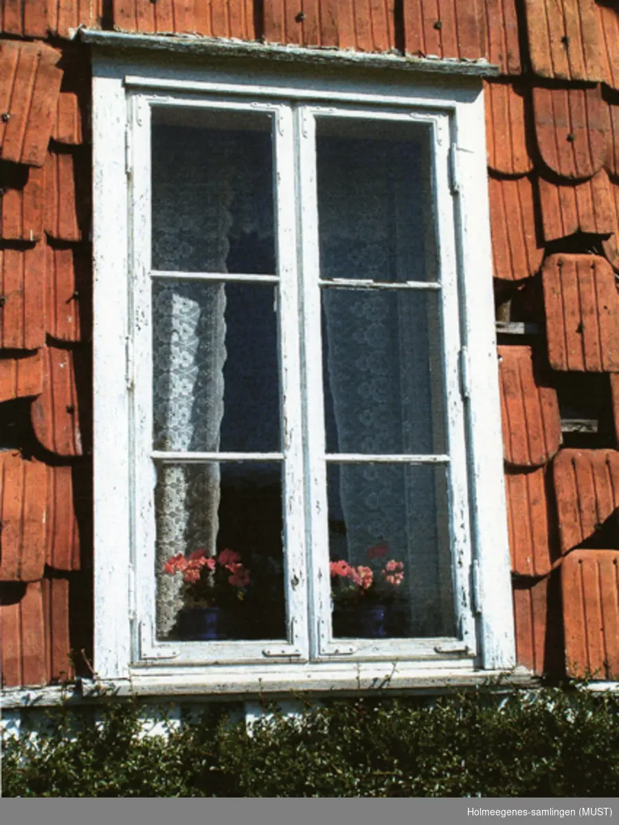 Holmeegenes. Nærbilde av et vindu med geraniumplanter.