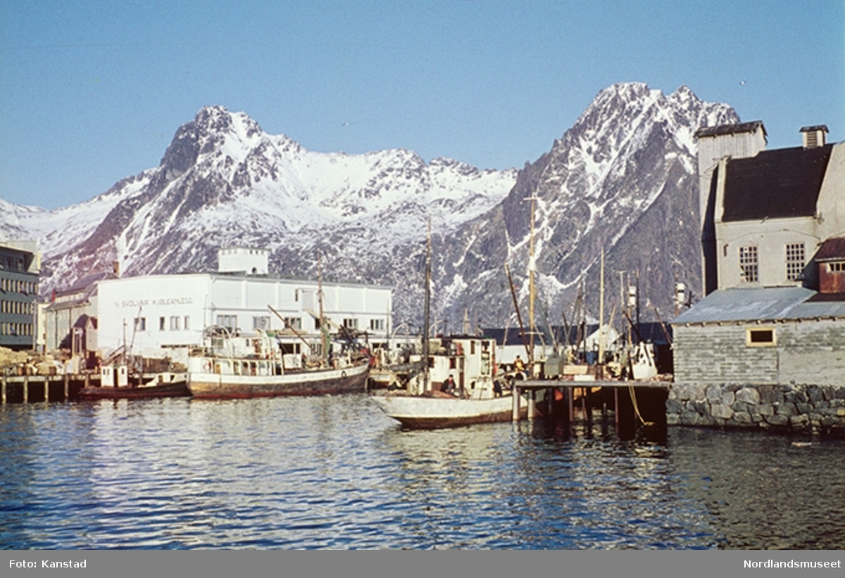 Havn, båter, A/S Svolvær kjøleanlegg