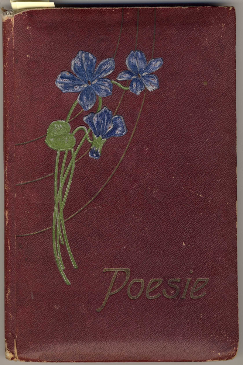 Poesibok fra begynnelsen av 1900-tallet. Motiv; blå blomster. I god stand alderen tatt i betraktning, sannsynligvis fordi den har vært så lite brukt. 