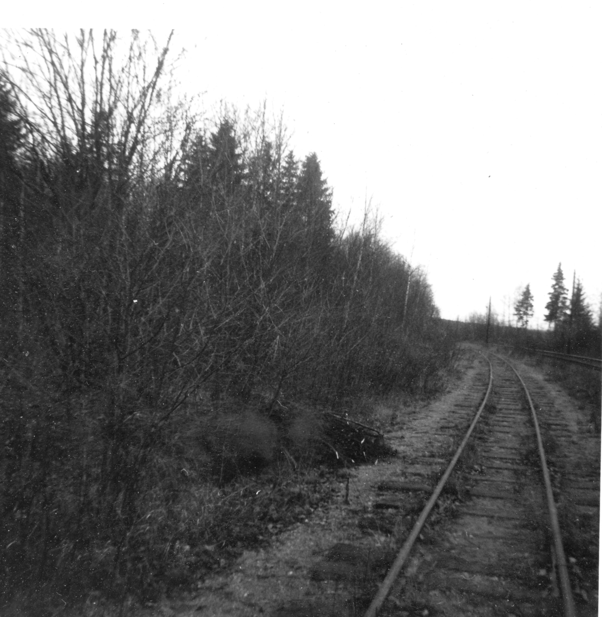 Fra Bingsfoss stasjon våren 1963. Her var det stasjon fra 1896 til 1903. Arbeidet med opprettelse av stasjon for museumsbanen tok til i 1963.