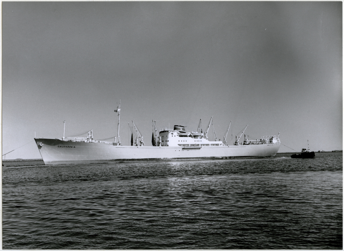 Foto i svartvitt visande lastmotorfartyget "CALIFORNIA" i Köpenhamn, troligen under 1950-talet.