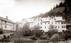 Tingstugu og Sundre Hotel i Ål (alt ødelagt i brann i 1931);
