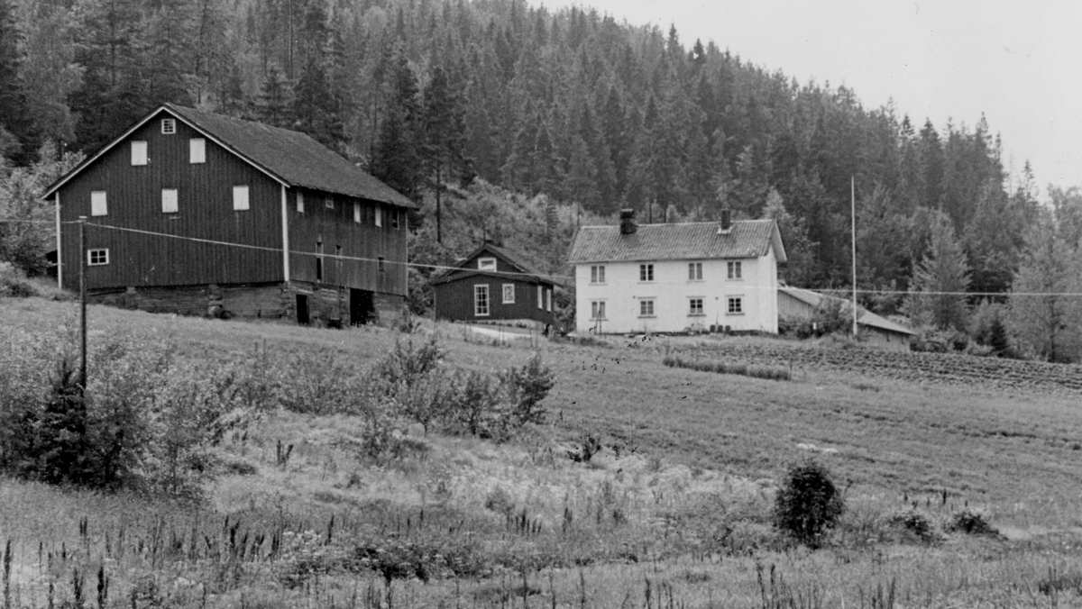 Nedre Dobbe gård med låve, bryggerhus, hovedhus og hønsehus. Kjølebrønd, ca. 1980.