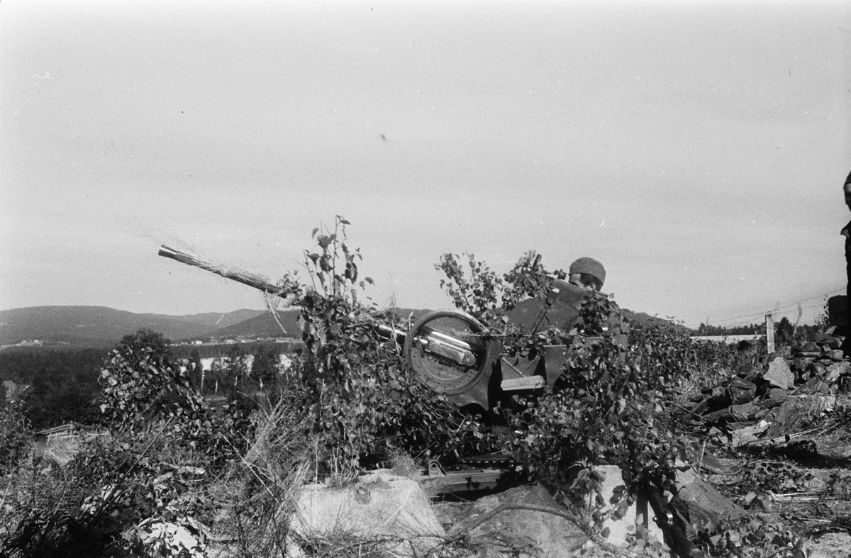 Militærøvelse.
Tysk 20 mm luftvernkanon type FLAK 38.