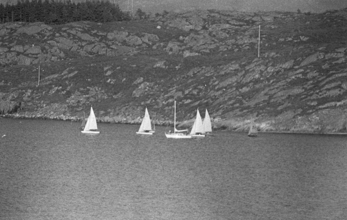 HD-Cup i seiling - 1971. Del 2 av 2.