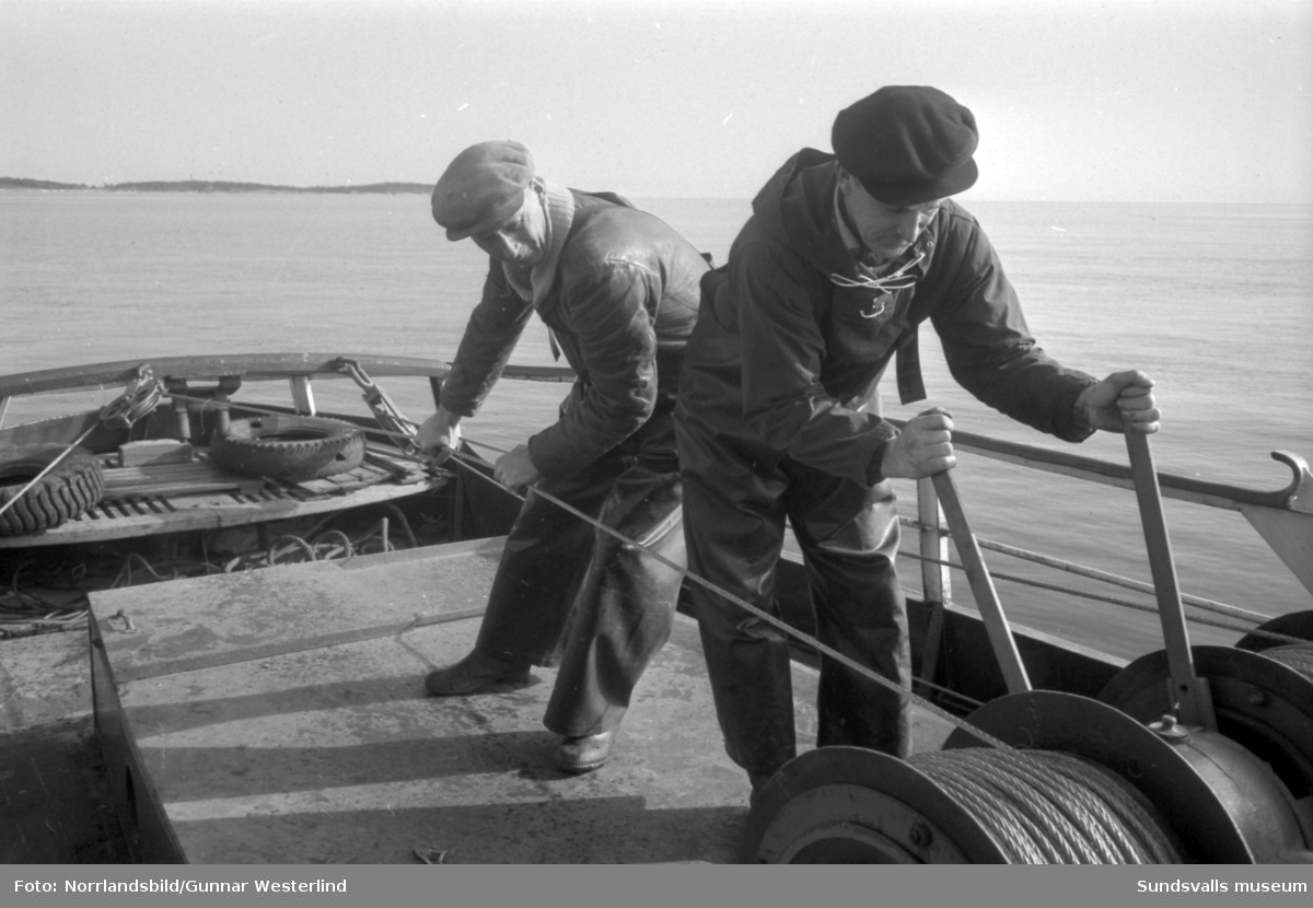 Trålfiske med Aba SL 9. Byggd 1905 i Härnösand som bogserbåten STÖMNÄS 2. Längd 64 fot (19,32 x 4,01)
Inköptes 21/5 1960 för 5900 kr av Gösta Åhlin, Rödön Alnö. Båten byggdes om till trålare på Helge Nilssons varv. Stensvik Alnö, där även en Scania Vabis diesel på 200 hk installerades. Den enda stålbåten och alltså ”isgående”. Fiskade mellan 1961 – 65 med hemmahamn Galtström. 
Skeppare : Gösta Åhlin. Besättning : Inez Åhlin.