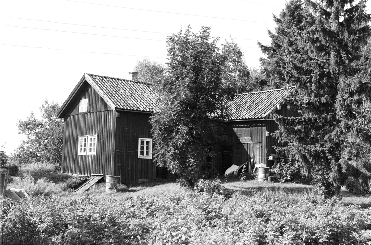 Uthus och lider, Tibble 5:14, Rasbokils socken, Uppland 1982