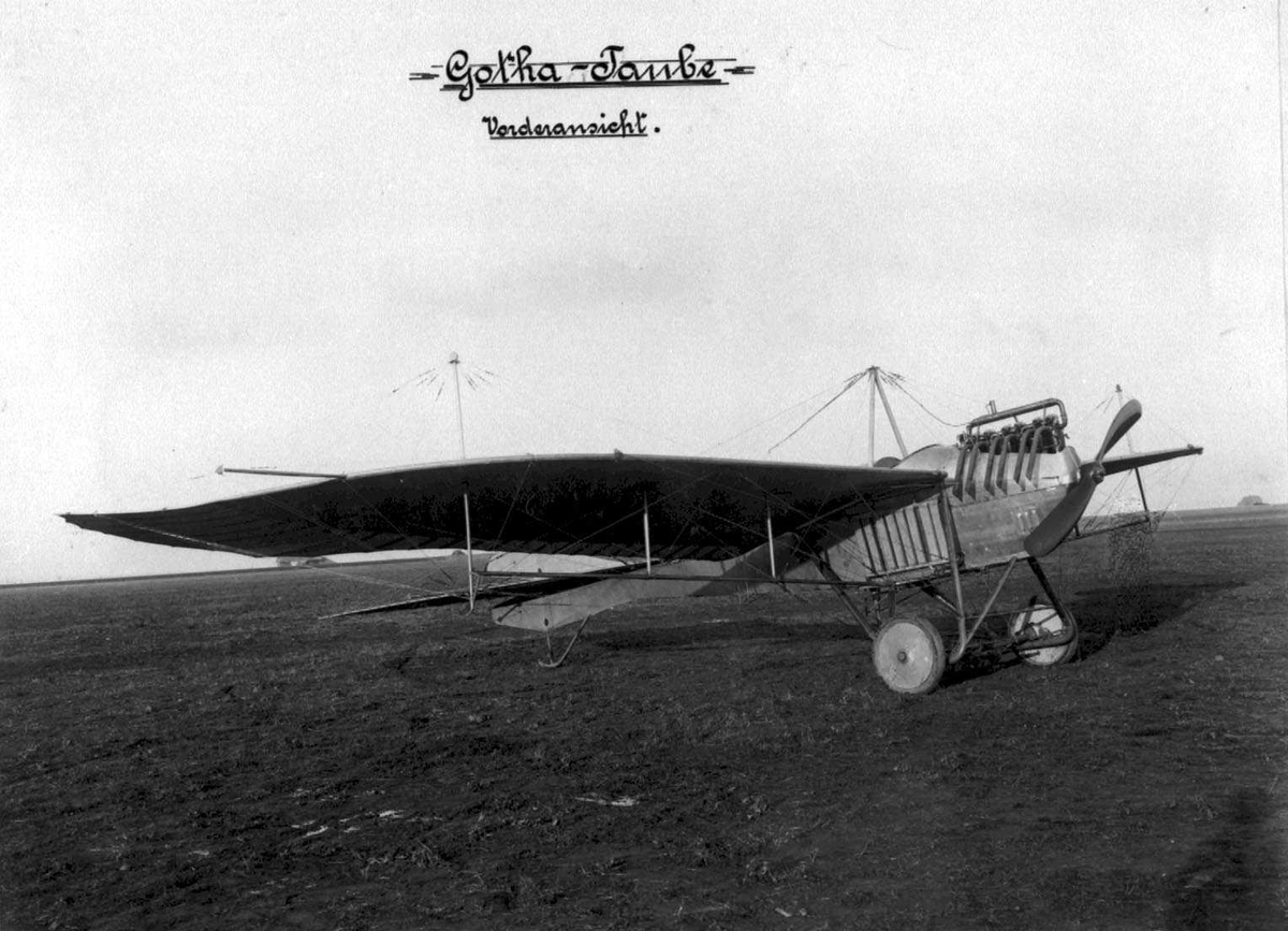 Ett fly på bakken, Gotha "Taube