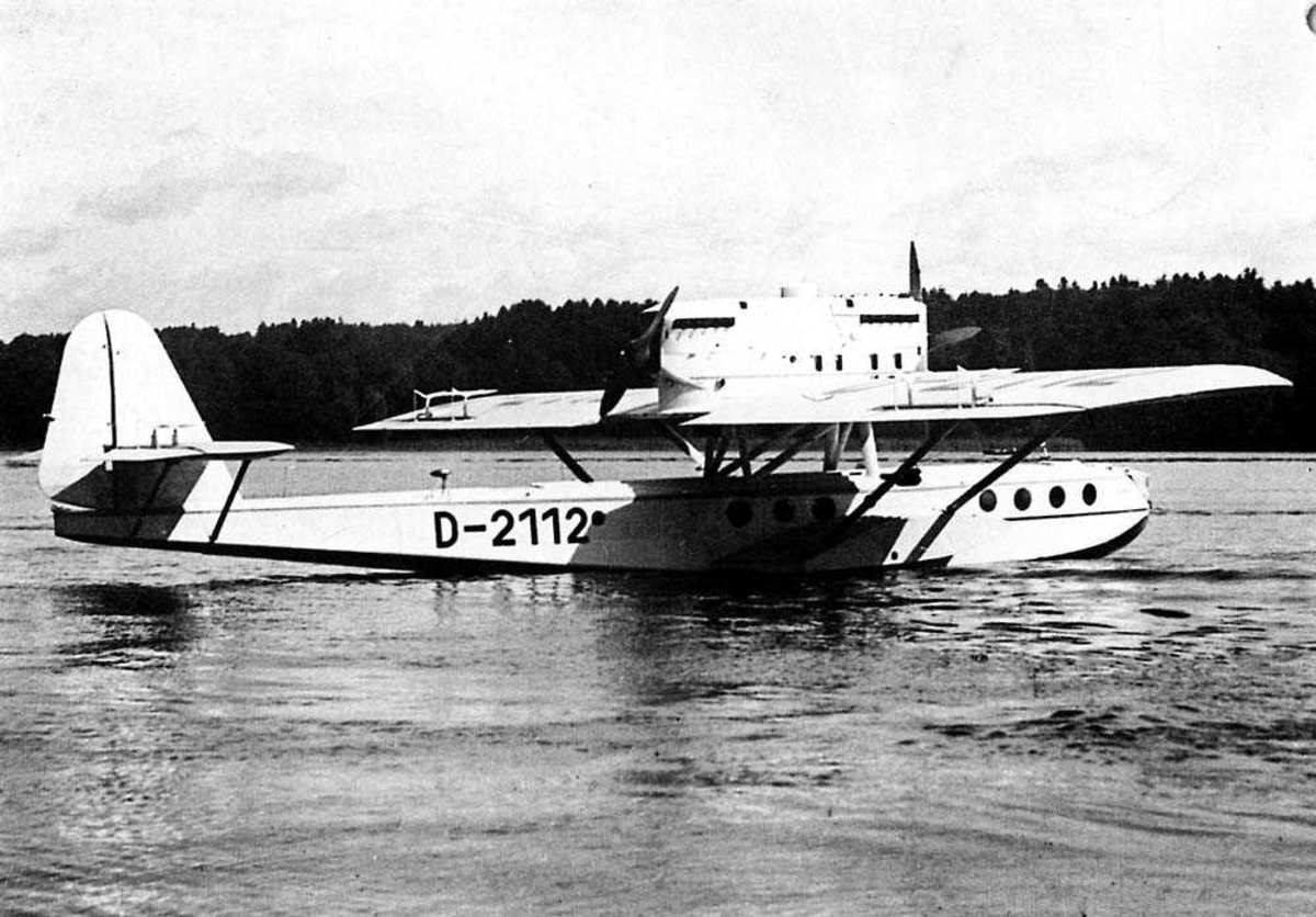 Ett fly på vannet. Dornier Do J-11 Wal.