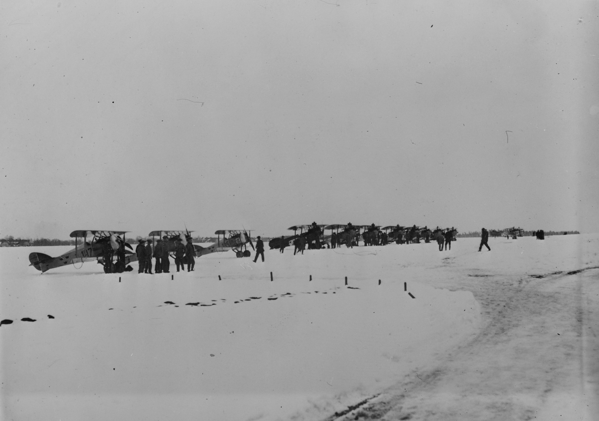 Flygplan Tummeliten och Albatros står på linje på ett flygfält, vintertid. Militärer i rörelse.